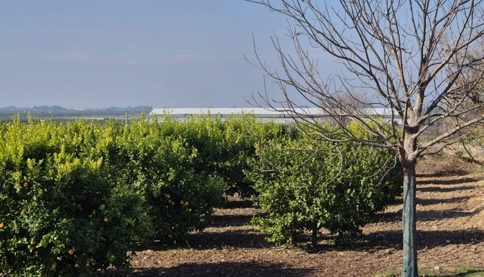 WhatsApp Image 2025-05-14 at 14.02.54 (2).jpg