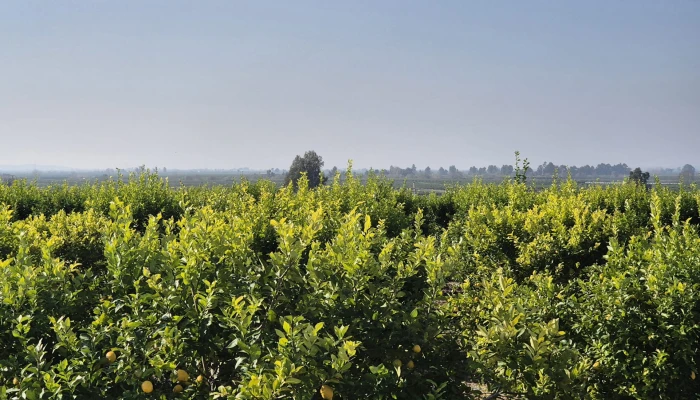 WhatsApp Image 2025-05-14 at 14.02.54 (1).jpg