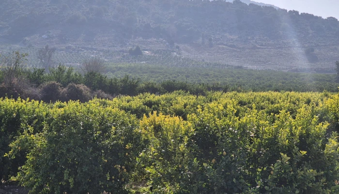 WhatsApp Image 2025-05-14 at 14.02.54.jpg