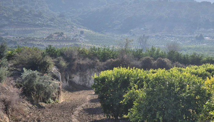 WhatsApp Image 2025-05-14 at 14.02.53 (3).jpg