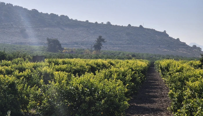 WhatsApp Image 2025-05-14 at 14.02.53 (2).jpg