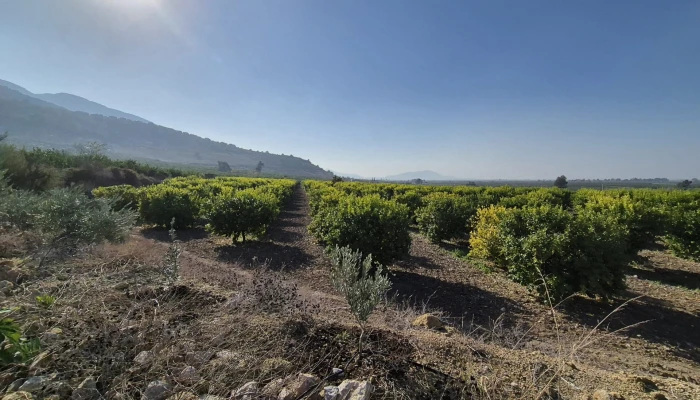 WhatsApp Image 2025-05-14 at 14.02.53.jpg