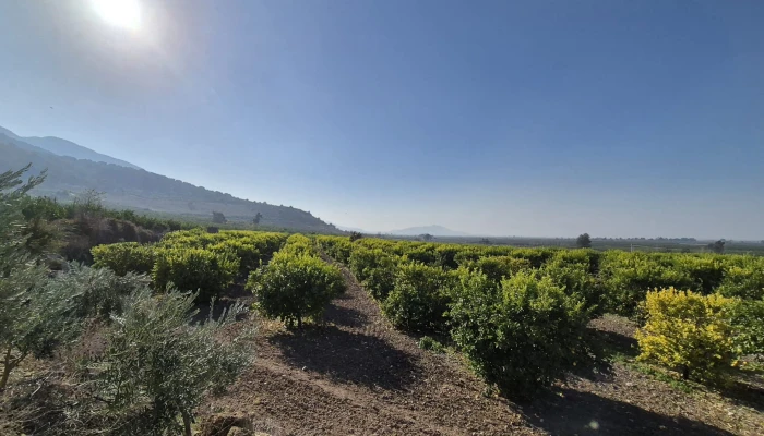 WhatsApp Image 2025-05-14 at 14.02.52 (2).jpg