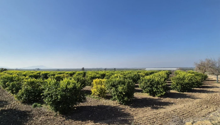 WhatsApp Image 2025-05-14 at 14.02.52 (1).jpg