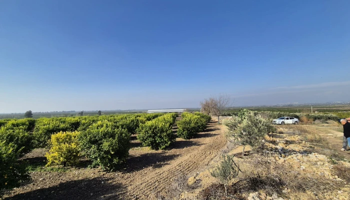 WhatsApp Image 2025-05-14 at 14.02.52.jpg