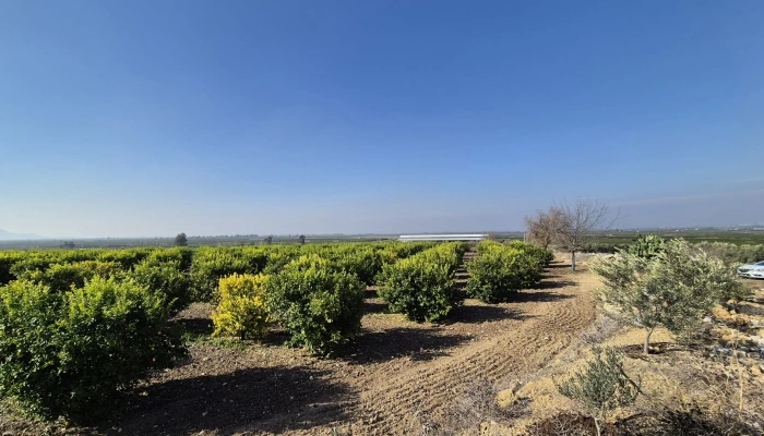 WhatsApp Image 2025-05-14 at 14.02.51 (2).jpg