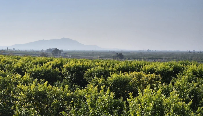 WhatsApp Image 2025-05-14 at 14.02.51 (1).jpg