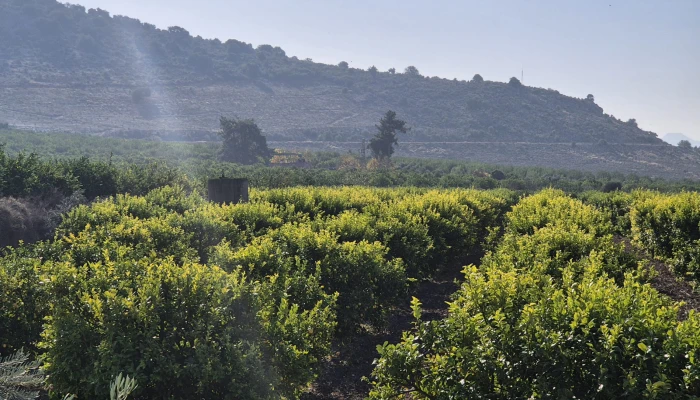 WhatsApp Image 2025-05-14 at 14.02.51.jpg