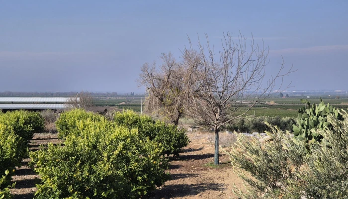 WhatsApp Image 2025-05-14 at 14.02.50 (2).jpg