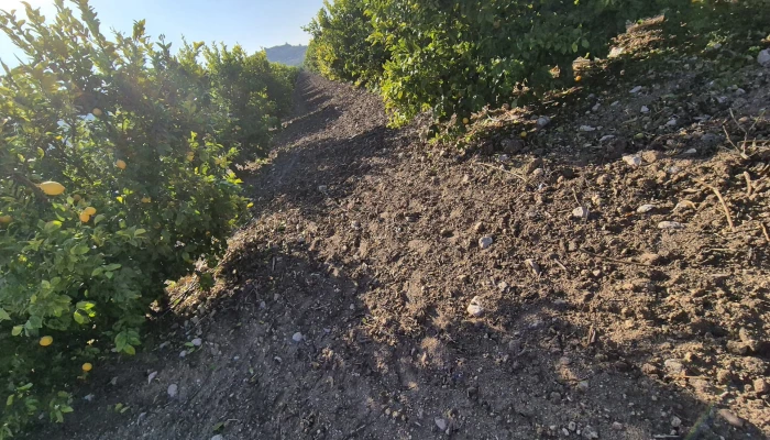 WhatsApp Image 2025-05-14 at 14.02.50 (1).jpg