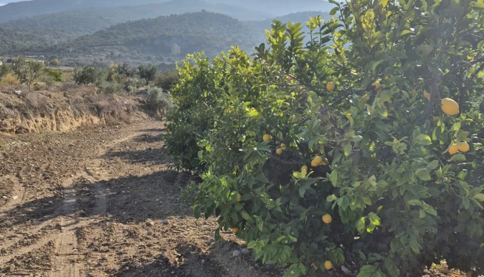 WhatsApp Image 2025-05-14 at 14.02.47.jpg