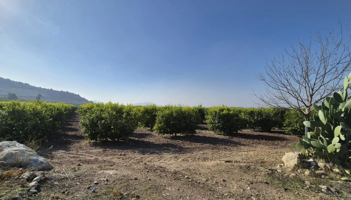 WhatsApp Image 2025-05-14 at 14.02.46.jpg