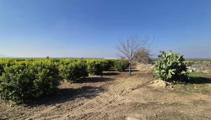 WhatsApp Image 2025-05-14 at 14.02.44 (3).jpg