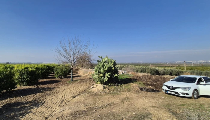 WhatsApp Image 2025-05-14 at 14.02.44 (2).jpg