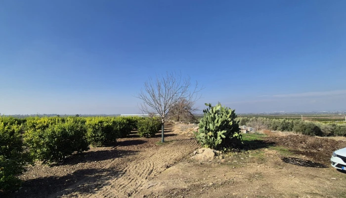 WhatsApp Image 2025-05-14 at 14.02.44 (1).jpg