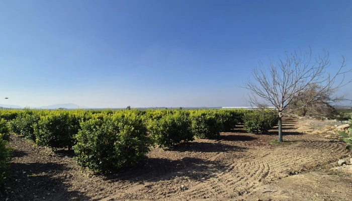 WhatsApp Image 2025-05-14 at 14.02.44.jpg