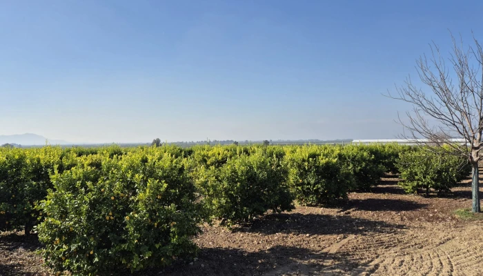 WhatsApp Image 2025-05-14 at 14.02.43.jpg