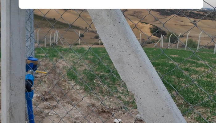 WhatsApp Image 2025-05-14 at 14.14.25 (1).jpg