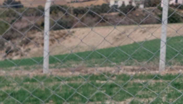 WhatsApp Image 2025-05-14 at 14.14.25.jpg