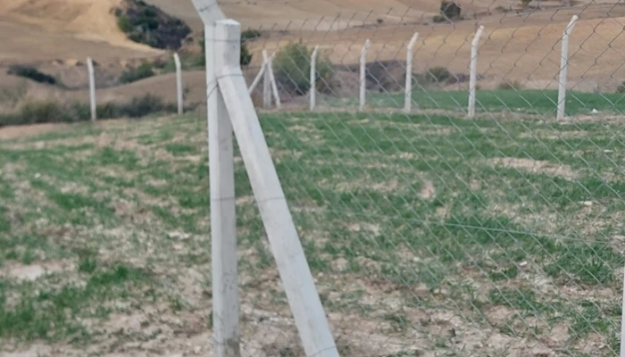 WhatsApp Image 2025-05-14 at 14.14.24 (3).jpg