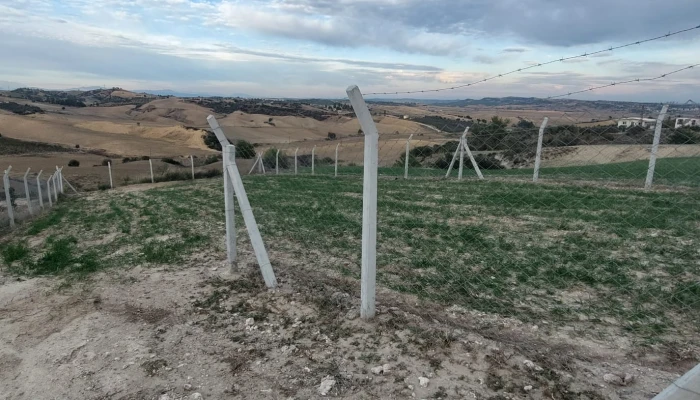 WhatsApp Image 2025-05-14 at 14.14.24 (1).jpg