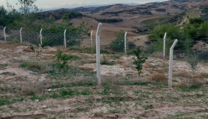 WhatsApp Image 2025-05-14 at 14.14.24.jpg