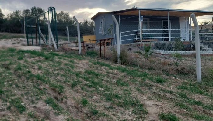 WhatsApp Image 2025-05-14 at 14.14.23 (1).jpg