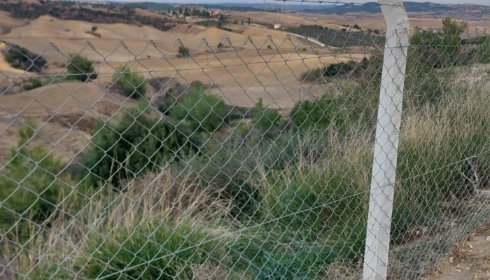 WhatsApp Image 2025-05-14 at 14.14.23.jpg