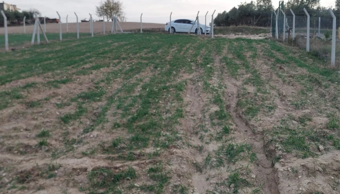 WhatsApp Image 2025-05-14 at 14.14.12.jpg