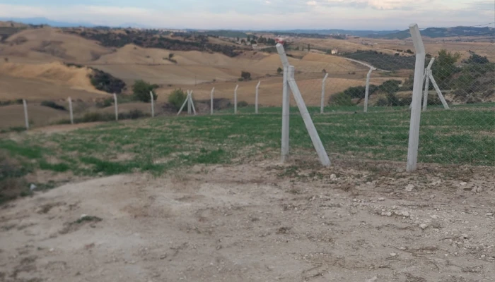 WhatsApp Image 2025-05-14 at 14.14.26.jpg