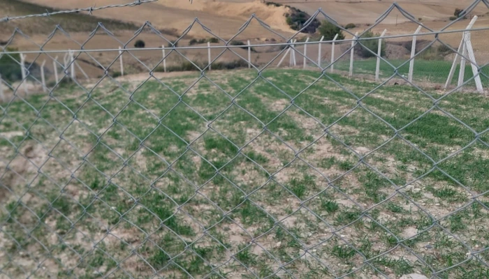 WhatsApp Image 2025-05-14 at 14.14.25 (2).jpg