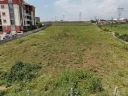 IMG-20250513-WA0041.jpg
