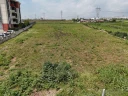 IMG-20250513-WA0046.jpg