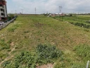 IMG-20250513-WA0047.jpg