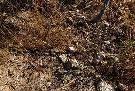 Agro-turizm tesisi ya da büyük bir çiftlik kurmak ister misiniz