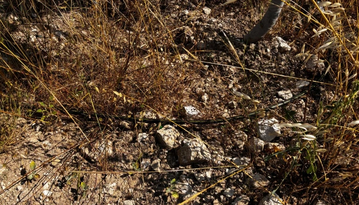 WhatsApp Görsel 2025-06-12 saat 12.45.15_1d2889c5.jpg