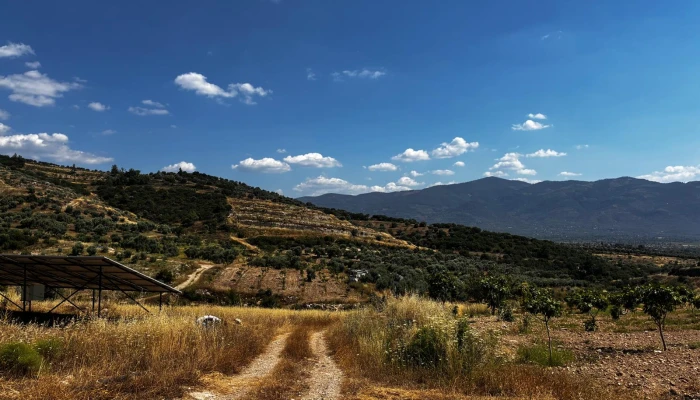 WhatsApp Görsel 2025-06-12 saat 12.45.15_0365bed7.jpg