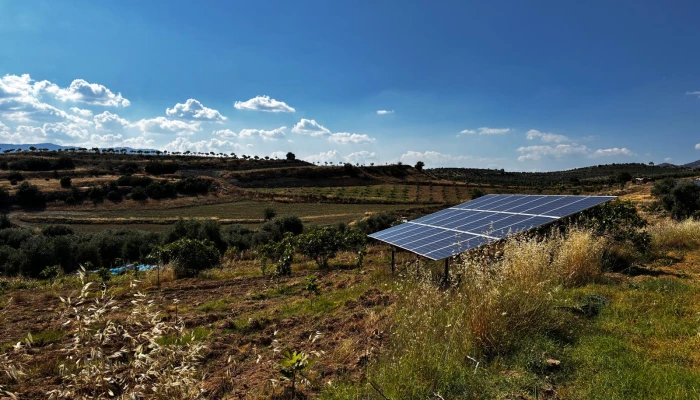 WhatsApp Görsel 2025-06-12 saat 12.45.15_767a65d1.jpg