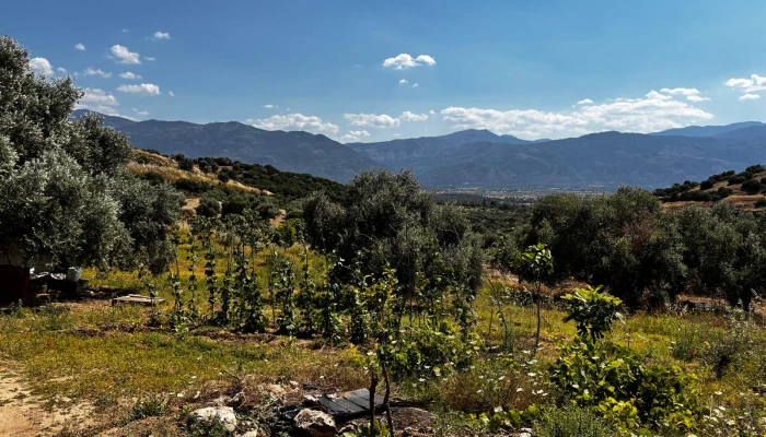 WhatsApp Görsel 2025-06-12 saat 12.45.15_5038c113.jpg