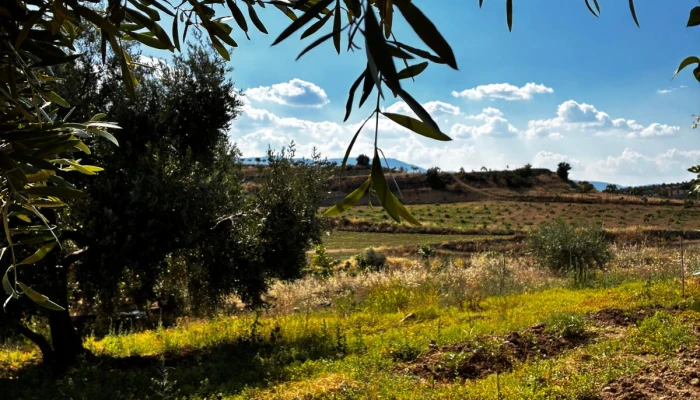 WhatsApp Görsel 2025-06-12 saat 12.45.15_28222f74.jpg