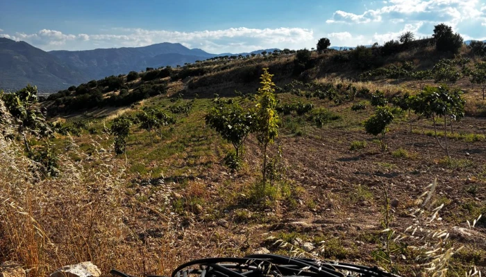 WhatsApp Görsel 2025-06-12 saat 12.45.16_40bdbfa8.jpg