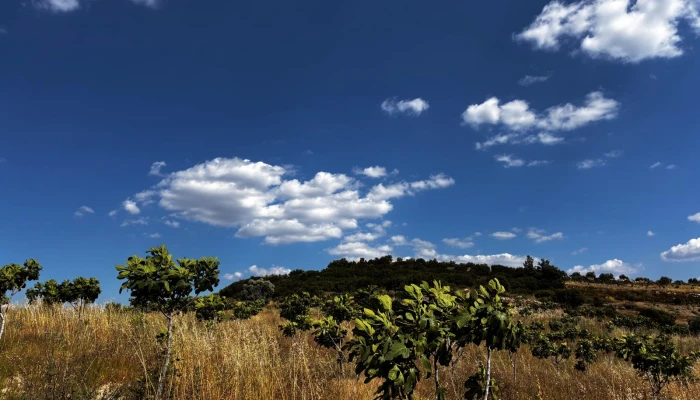 WhatsApp Görsel 2025-06-12 saat 12.45.15_ec1b2aa8.jpg