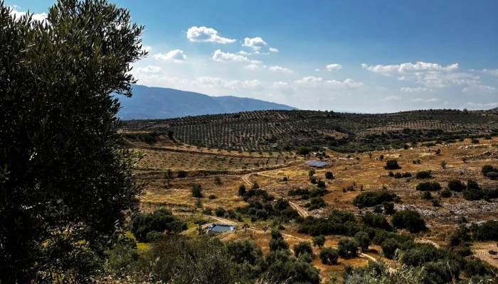 WhatsApp Görsel 2025-06-12 saat 12.45.15_ff6ebc1a.jpg