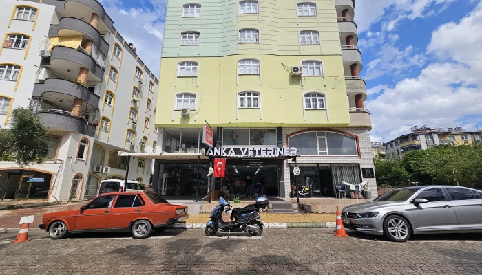 WhatsApp Image 2025-04-05 at 15.57.43 (1).jpg