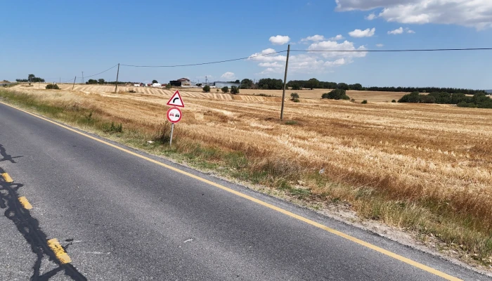 WhatsApp Image 2025-06-30 at 17.36.14.jpg