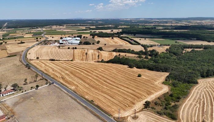 WhatsApp Image 2025-06-30 at 17.36.53.jpg