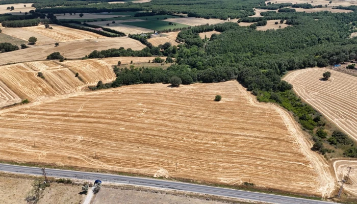 WhatsApp Image 2025-06-30 at 17.37.48.jpg