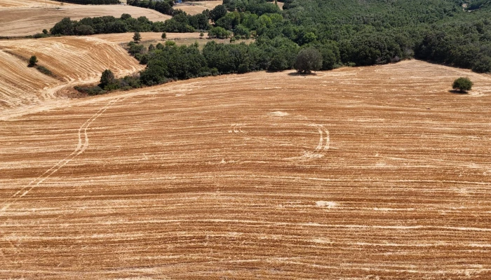 WhatsApp Image 2025-06-30 at 17.37.50.jpg