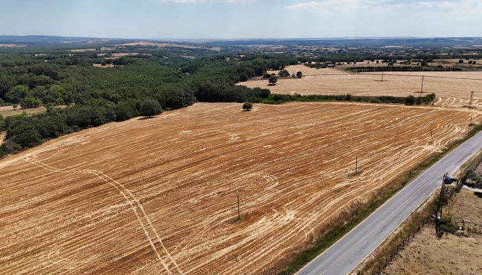 WhatsApp Image 2025-06-30 at 17.38.00.jpg