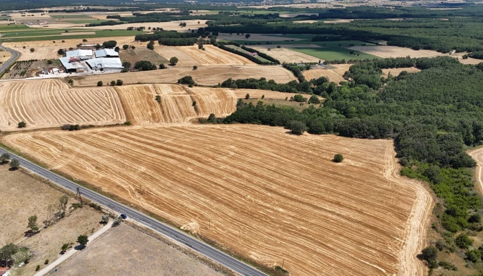 WhatsApp Image 2025-06-30 at 17.38.11.jpg